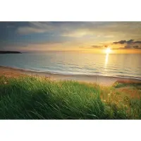 Consalnet Vliesbehang - Fotobehang - Landschap - Strand - Natuur - Zee - Water - Zon - 184x254cm