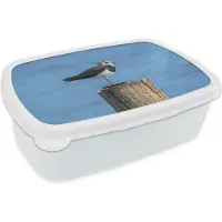 MuchoWow Broodtrommel Wit - Lunchbox - Brooddoos - Vogel - Dieren - Paal - Blauw - Kievit - 18x12x6 cm - Volwassenen