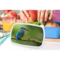 MuchoWow Broodtrommel Blauw - Lunchbox - Brooddoos - IJsvogel - Tak - Mos - Vogel - Groen - 18x12x6 cm - Kinderen - Jongen