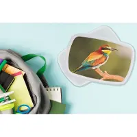 MuchoWow Broodtrommel Wit - Lunchbox - Brooddoos - Vogels - Bijeneter - Regenboog - Dieren - 18x12x6 cm - Volwassenen