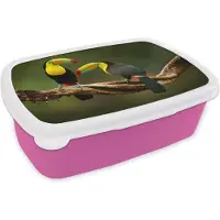 MuchoWow Broodtrommel Roze - Lunchbox - Brooddoos - Vogels - Toekan - Tak - Dieren - Regenboog - 18x12x6 cm - Kinderen - Meisje
