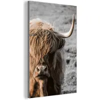 MuchoWow Wanddecoratie Metaal - Aluminium Schilderij Industrieel - Schotse hooglander - Dier - Zon - 120x180 cm - Dibond - Foto op aluminium - Industriële muurdecoratie - Voor de woonkamer/slaapkamer