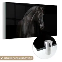 MuchoWow Glasschilderij 80x40 cm - Schilderij acrylglas - Paard - Dieren - Zwart - Portret - Foto op glas - Schilderijen