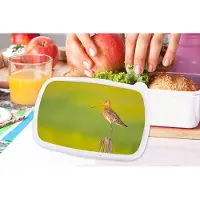 MuchoWow Broodtrommel Wit - Lunchbox - Brooddoos - Vogel - Dieren - Grutto - Paal - Groen - 18x12x6 cm - Volwassenen