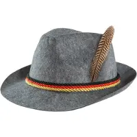 TecTake dressforfun - Grijze kostuumhoed met de Duitse kleuren - verkleedkleding kostuum halloween verkleden feestkleding carnavalskleding carnaval feestkledij partykleding - 302853