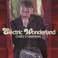 Import Electric wonderland
