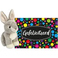 Ravensden Pluche knuffel cadeau Konijn 18 cm met A5-size Gefeliciteerd wenskaart - Knuffel huisdieren