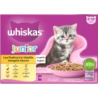 Whiskas 1x junior 2-12M Natvoer - Gevogelte - Selectie in gelei - maaltijdzakjes 12 x 85 g