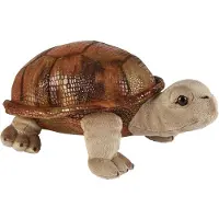 Ravensden Pluche knuffel dieren Land Schildpad van 32 cm - Speelgoed schildpadden knuffels - Leuk als cadeau voor kinderen