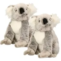 Nature Planet 2x stuks pluche knuffel koala beer 25 cm - Australische dieren knuffels