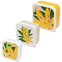 Puckator set van 3 lunchboxen