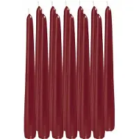 Trend Candles 12x Lange kaarsen bordeauxrood 25 cm 8 branduren dinerkaarsen/tafelkaarsen - Dinerkaarsen