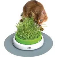 Catit Senses 2.0 Grass Planter