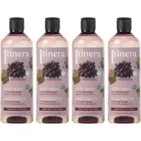 Sarcia.eu ITINERA - Gladmakende Body Wash met Toscaanse rode druiven, 95% natuurlijke ingrediënten, 370 ml (4 stuks)