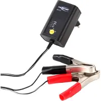 Ansmann ALCS2-12 0.4 Stekkerlader 6 V, 2 V, 12 V 0.4 A