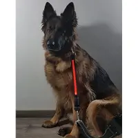 Kowloon - Led hondenriem verlenging - Oranje licht - 39 cm - Hond - lijn - Waterdicht - Oplaadbaar