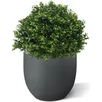 Maxifleur Kunstplanten Buxus bol deluxe kunstplant 40cm