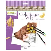 Avenue Mandarine - Emmanuelle Colin - Colouring book Wild 4