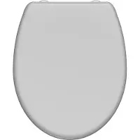 Schutte Toiletzitting grey duroplast met soft close en quick release gelakt grijs