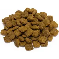Arquivet Original Adult Cordero Dog Food Goud 3kg