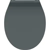 Schutte WC-Bril 82704 SLIM ANTHRAZIT - Duroplast - Super Dun - Soft Close - Afklikbaar - RVS-Scharnieren - Belastbaar tot 175 kg - Gelakt - Antraciet