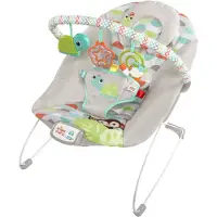 Bright Starts Happy Safari Bouncer Veelkleurig Kinderen