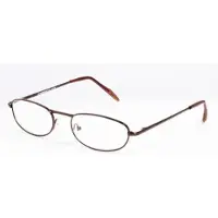 Hip Leesbril metal bruin glans +1.0