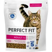 Perfect Fit Kattenbrokken - Active Adult - Zalm - 4x750g