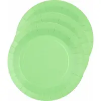 SANTEX Feest gebaksbordjes - mintgroen - 10x - karton - 17 cm - rond - kartonnen feestbordjes