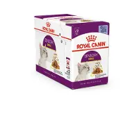 Royal Canin FHN Sensory Smell In Gravy
