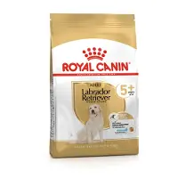 Royal Canin Labrador Retriever Volwassen 5+ 12 kg Voeding