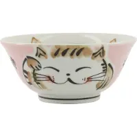 Tokyo Design Studio Kawaii Roze Kom Neko Kat