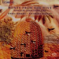 Bis HONEY FROM THE HIVE