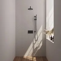 Brauer Edition Inbouw Doucheset - Staafhanddouche - 20cm Hoofdouche - Gebogen Wandarm - Glijstang - Mat Zwart - Messing - Kranen, Douchekranen, - Kranen, Douchekranen, Douchesets, Inbouw douchesets