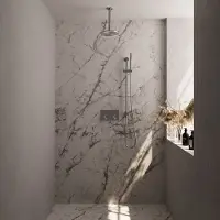 Brauer Brushed Edition thermostatische inbouw regendouche met drukknoppen SET 65 met 20 cm douchekop en plafondarm en staaf handdouche en doucheslang en geïntegreerde glijstang RVS geborsteld PVD