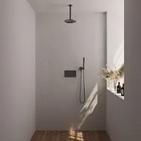Brauer Gunmetal Edition thermostatische inbouw regendouche met drukknoppen SET 53 met 20 cm douchekop en plafondarm en staaf handdouche en doucheslang en wandaansluitbocht gunmetal geborsteld PVD