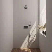 Brauer Gunmetal Edition thermostatische inbouw regendouche met drukknoppen SET 49 met 20 cm douchekop en rechte muurarm en staaf handdouche en doucheslang en wandaansluitbocht gunmetal geborsteld PVD