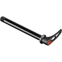 Dt Swiss Rws 10 Steekas