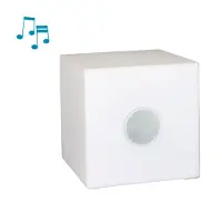Intergard Tuinverlichting lichtkubus Cube met speaker 20x20x20cm