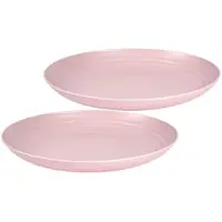 Forte Plastics Set van 2x stuks rond kunststof borden oud roze 25 cm - Dinerborden