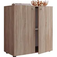 Hioshop VandolV1 kommode 2 deuren eik decor.