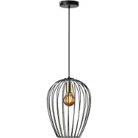 Zenzee Hanglamp - Pendellamp - Designlamp - Industrieel - Metaal - Zwart - Ø 26 x 36 cm - E27