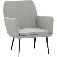 vidaXL Fauteuil 62x79x79 cm fluweel lichtgrijs