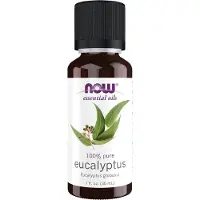 Now Eucalyptusolie Globulus 30 ml