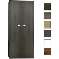 Sanicare Q5 kolomkast 67x160x32cm antraciet
