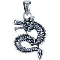 MOOYE ® - Collectie Zilveren Chinese Draak ketting hanger