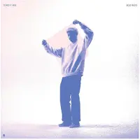 Konkurrent Toro Y Moi - Boo Boo (CD)