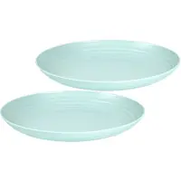 Forte Plastics Set van 2x stuks rond kunststof borden groen 25 cm - Dinerborden