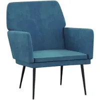 vidaXL Fauteuil 62x79x79 cm fluweel blauw