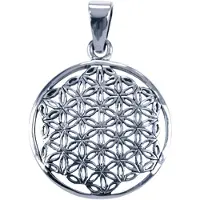 MOOYE ® - Collectie Zilveren Flower of life 27mm ketting hanger